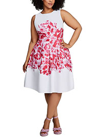 Ashley Stewart PINK/WHITE Floral Print Fit & Flare Dress - Plus Size 14 to 34 (US 12 to 32)