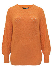 ORANGE Pointelle Knit Jumper - Plus Size 14/16 to 30/32