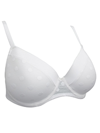 Trofé Ulrika CHAMPAGNE Spotted Mesh Padded Underwired Full Cup Bra - Size 34 to 40 (A-B-C-D) Trofé Ulrika CHAMPAGNE Spotted Mesh Padded Underwired Full Cup Bra - Size 34 to 40 (A-B-C-D)