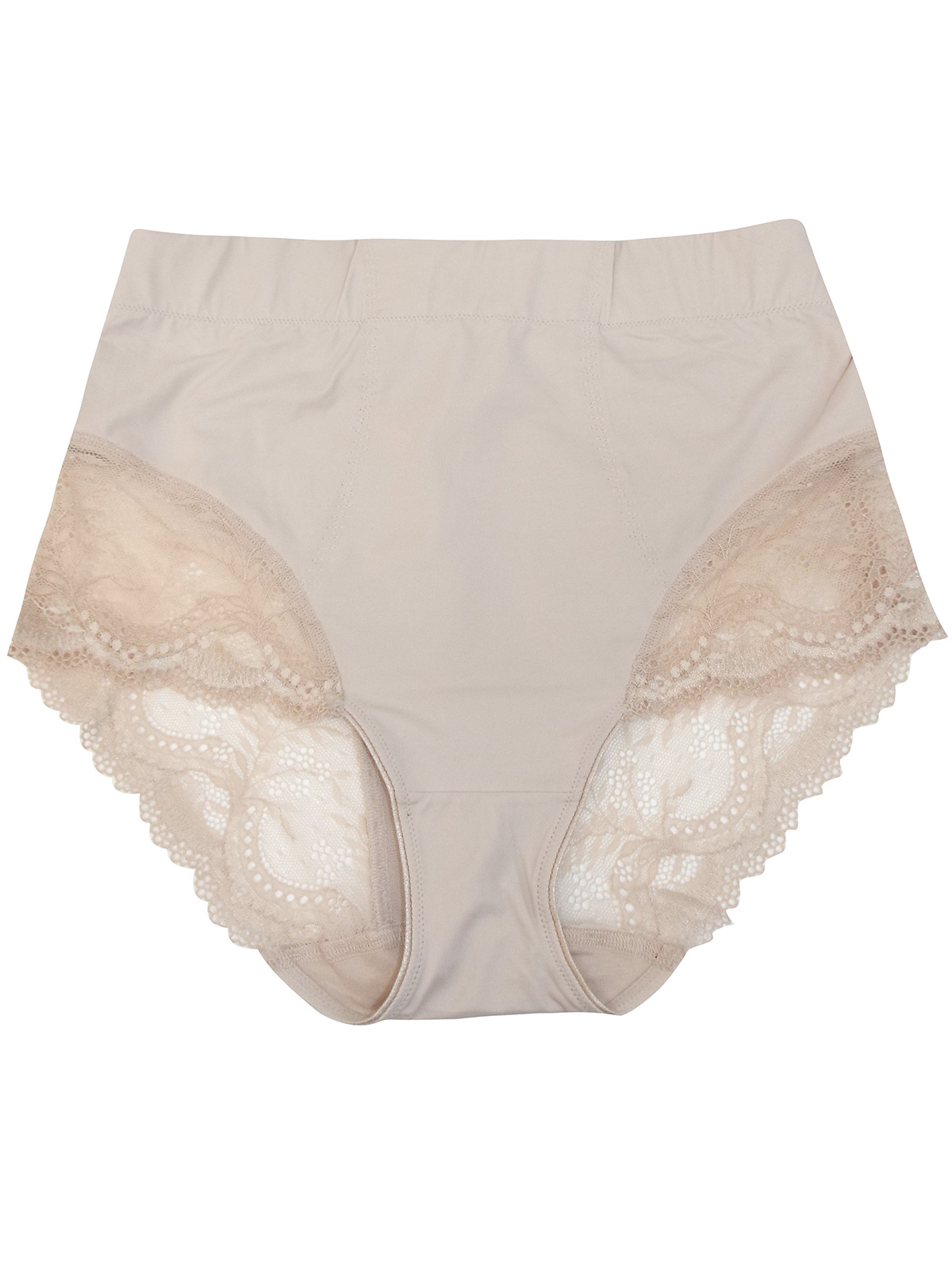 Dunn S Nude Lace Panel High Rise Control Briefs Size To