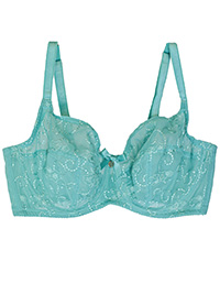 DUCK-EGG Brodie Full Support Plunge Bra - Size 30 to 38 (D-DD-E-FF-G)