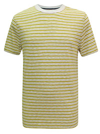 WS Mens YELLOW Pure Cotton Short Sleeve Darley Fine Stripe T-Shirt - Size S to XXL