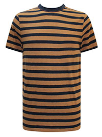 WS Mens BROWN NAVY Pure Cotton Oak Striped Short Sleeve T-Shirt - Size S to XXXL