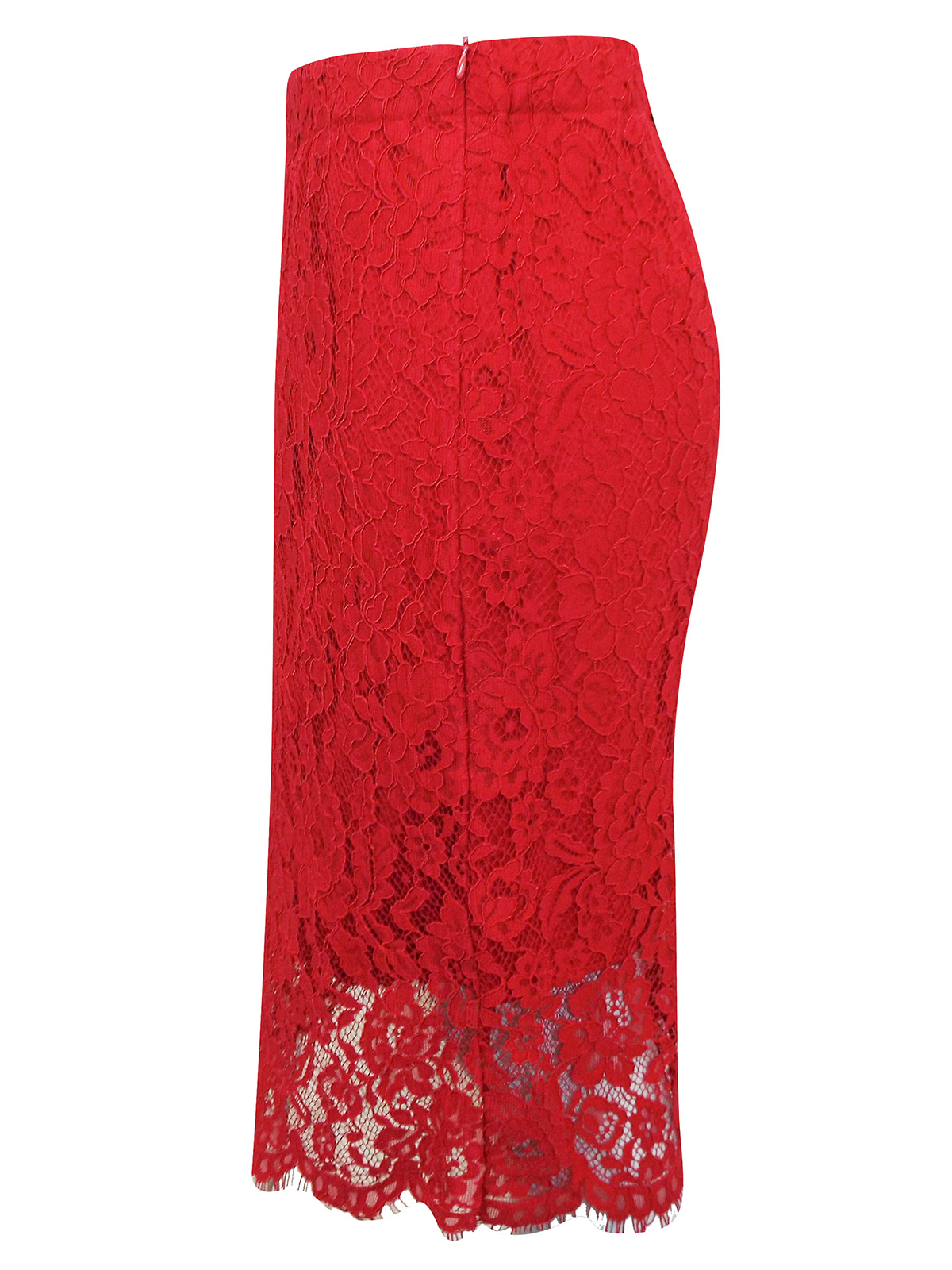 Wholesale Plus Size clothing outsize ladies clothing by Cellbes Cellbes RED Lace Pencil Skirt Plus Size 16 to 26 EU 42 to 52