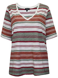IVORY Striped Half Sleeve Top - Plus Size 14 to 32