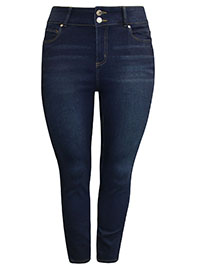 VALENCE-WASH Seta Silk Denim Charlotte Super Stretch Skinny Jeans - Plus Size 16 to 26 (US 14W to 24W)